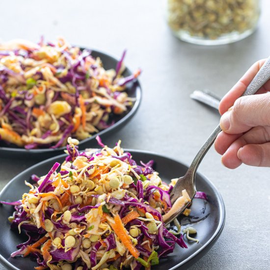 Asian -Style Sprouted Lentil Slaw