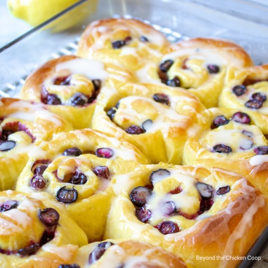 Blueberry Lemon Sweet Rolls