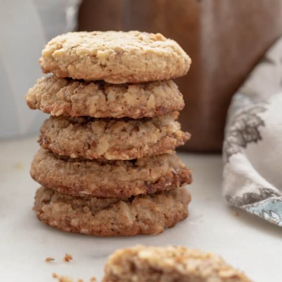 Sugar Free “Oatmeal” Cookies