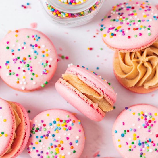 Sugar Cookie Macarons