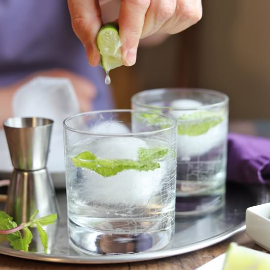 Gin and tonic with lime and mint