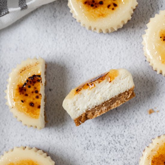 Mini Creme Brûlée Cheesecakes