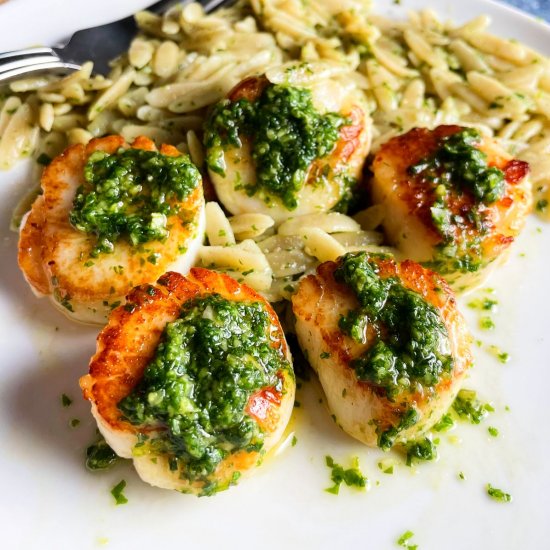 Scallops with Pesto