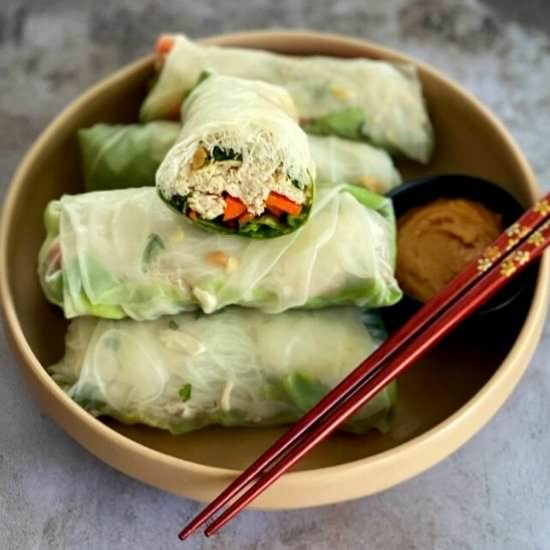 Chicken Spring Rolls & Peanut Sauce