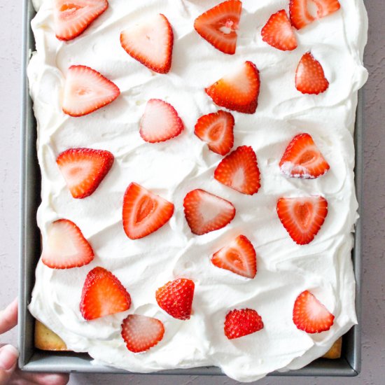 High Altitude Tres Leches Cake