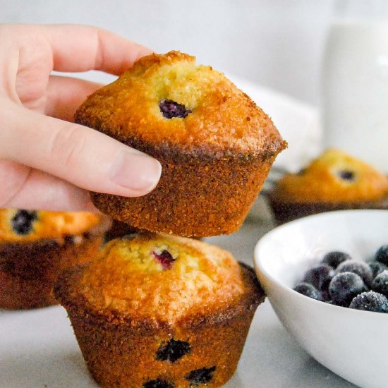 Honey Blueberry Corn Muffins