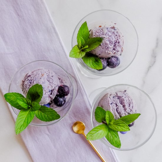 Blueberry Ice Cream