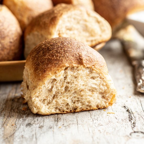 Fluffy Whole Wheat Dinner Rolls