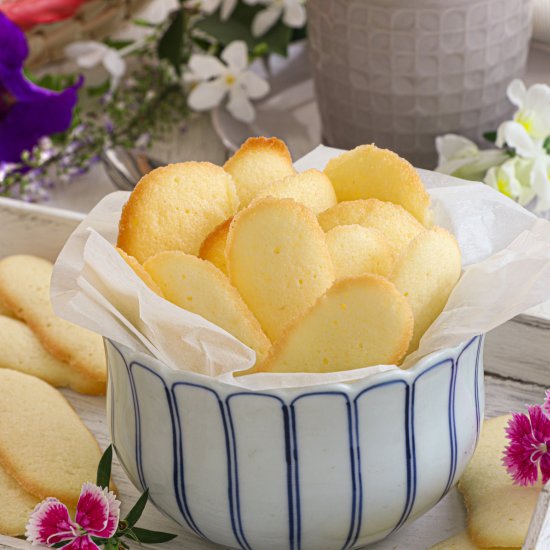 LENGUA DE GATO