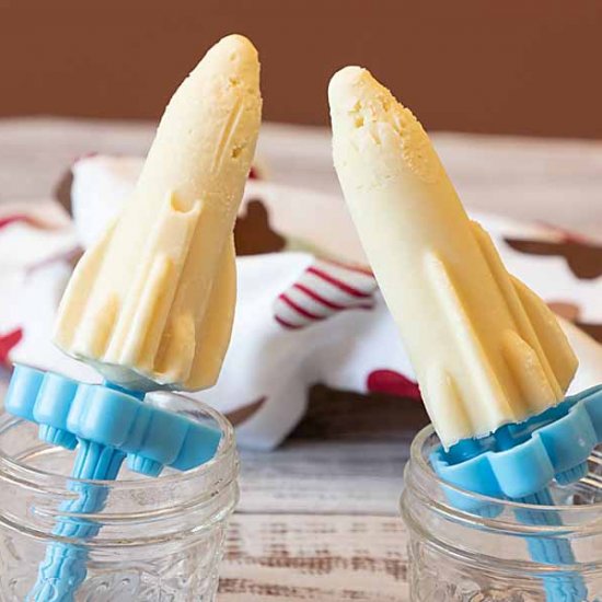 All Natural Vanilla Pudding Pops