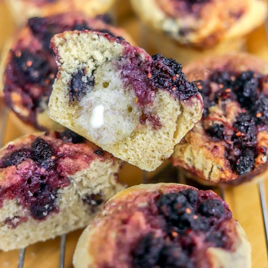 Favorite Mulberry Muffins