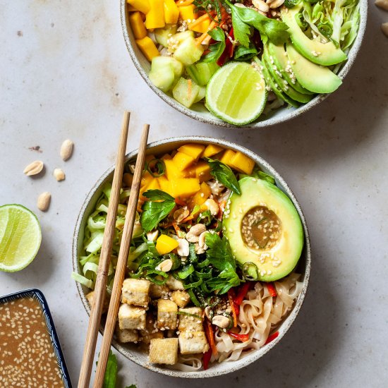 Vegan Spring Roll Noodle Bowl