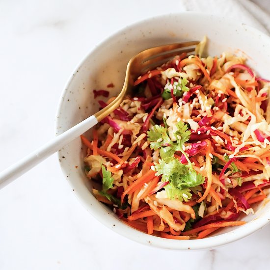 Quick and Easy Asian Slaw