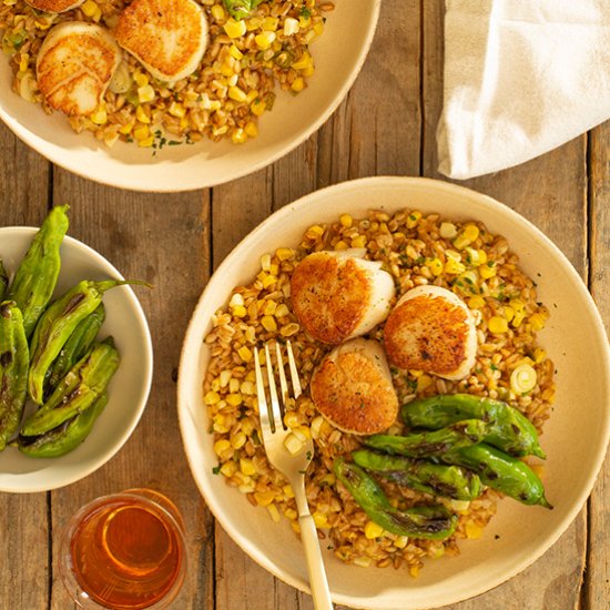 Seared Scallops with Farro Risotto