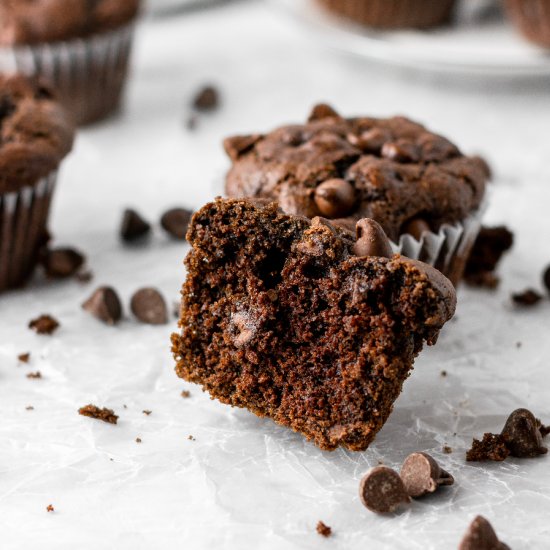 Double Chocolate Chip Muffins