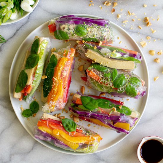 Rainbow Spring Rolls