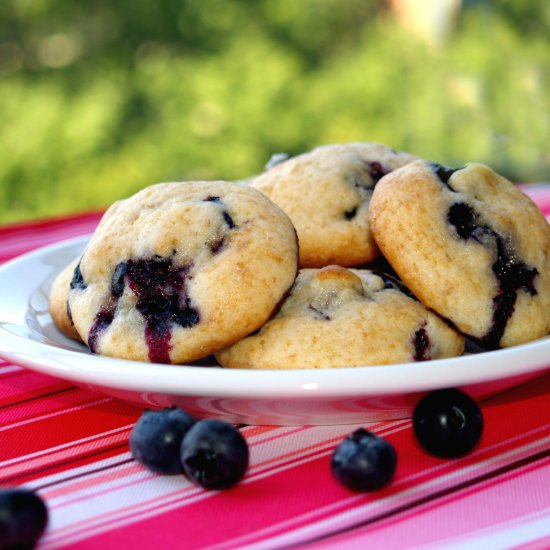 Blueberry Cookies