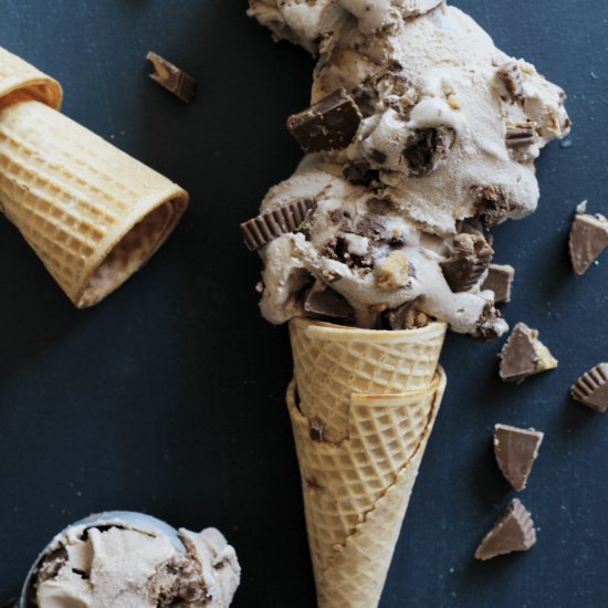 Chocolate Moose Tracks Ice Cream