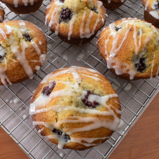 Blackberry Lemon Poppy Seed Muffins