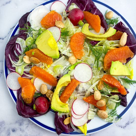 Fennel and Segmented Orange Salad