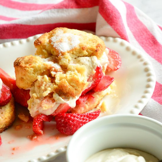 Strawberry Shortcake