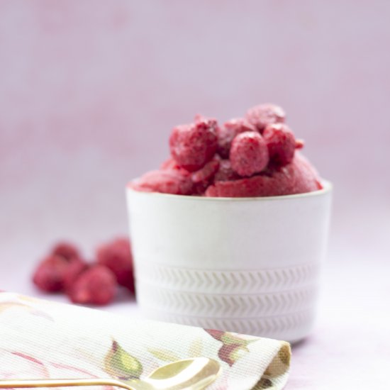 Vegan Raspberry Sorbet