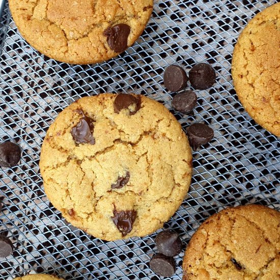 chocolate chip cookies