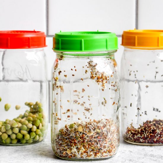 How to Grow Sprouts in a Jar