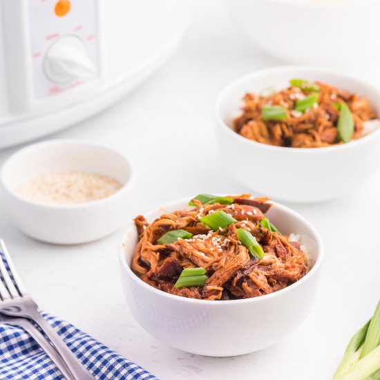 Slow Cooker Asian Chicken