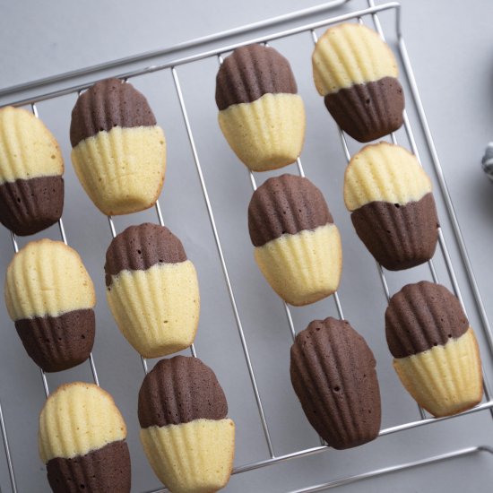 Two-color madeleines