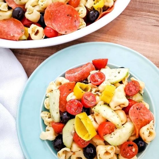 Cheese Tortellini Pasta Salad Recip