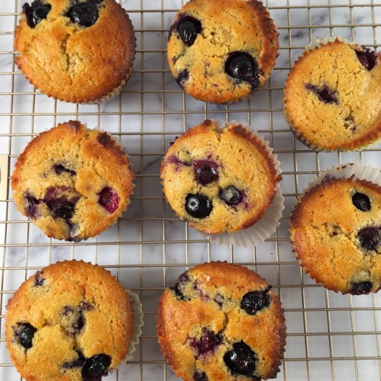 Kodiak Cakes Muffins (Blueberry)