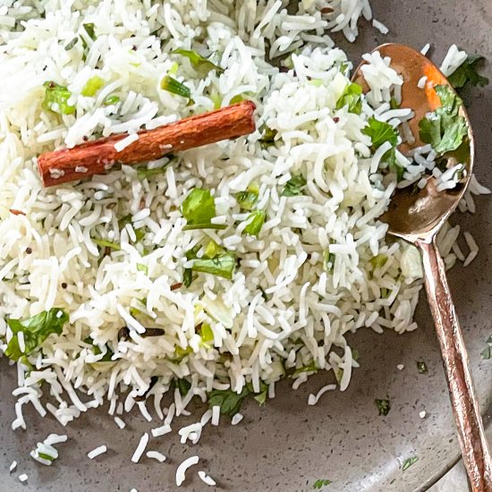 Scallion Garlic Indian Fried Rice