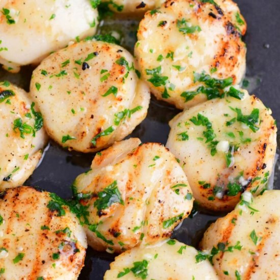 Grilled Scallops