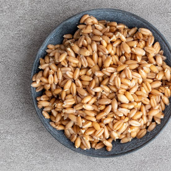 How To Sprout Whole Grains