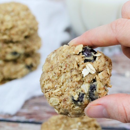 Easy No-Bake Lactation Cookies