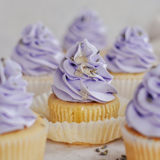 Honey Lavender Cupcakes