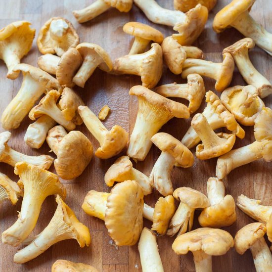 chanterelle mushroom recipes