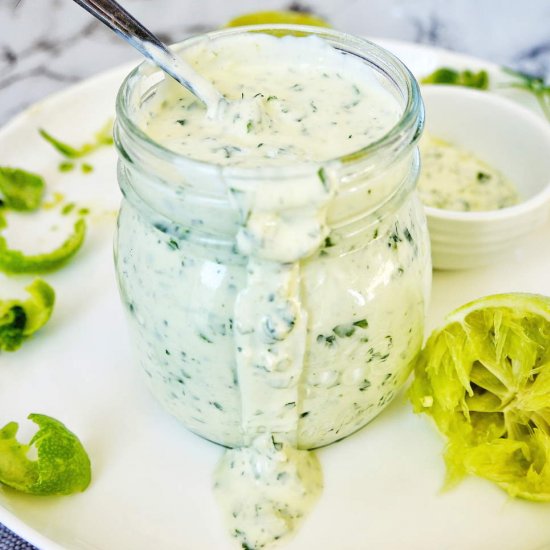 Cilantro Lime Yogurt Sauce