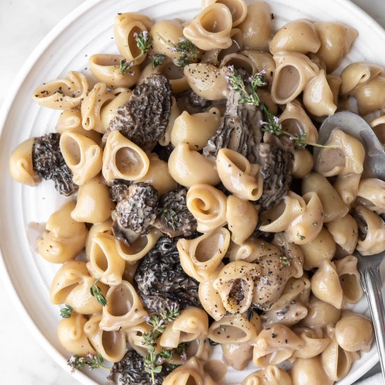 morel pasta with parmesan cream