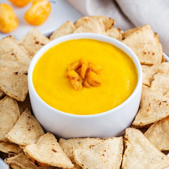 Mango Habanero Salsa