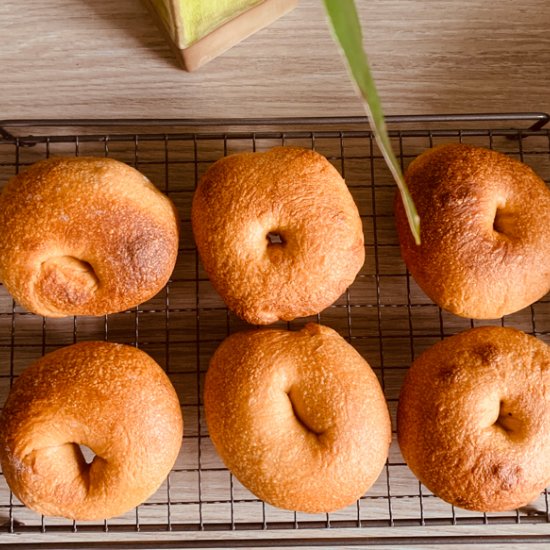 Overnight bagel recipe