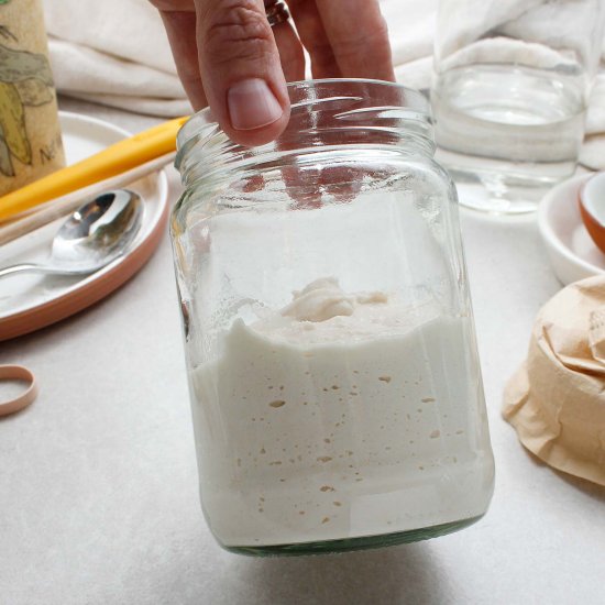 Grain-Free Sourdough Starter