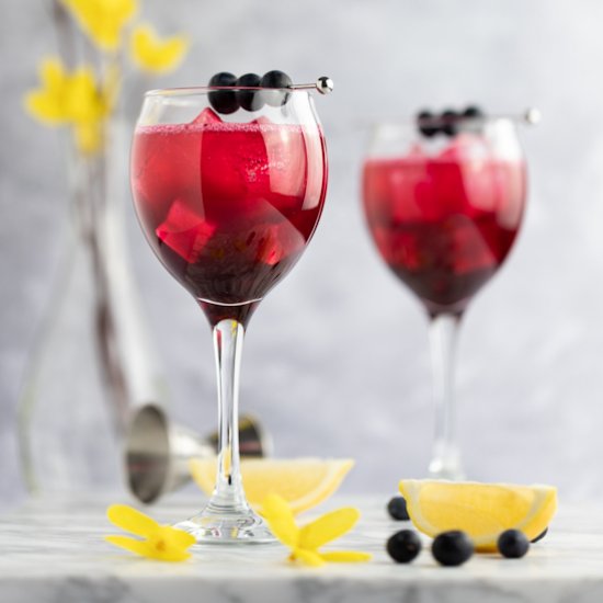 Blueberry Gin Cocktail