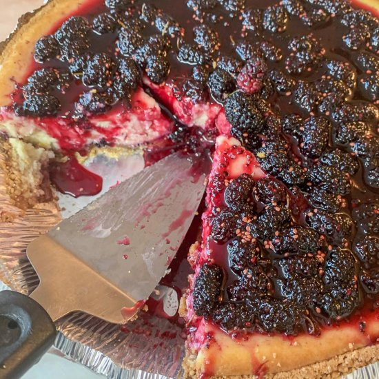 Mulberry Cheesecake