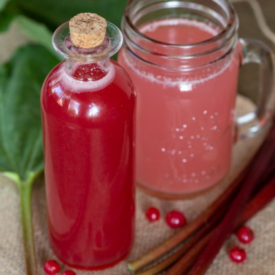 Rhubarb redcurrant syrup