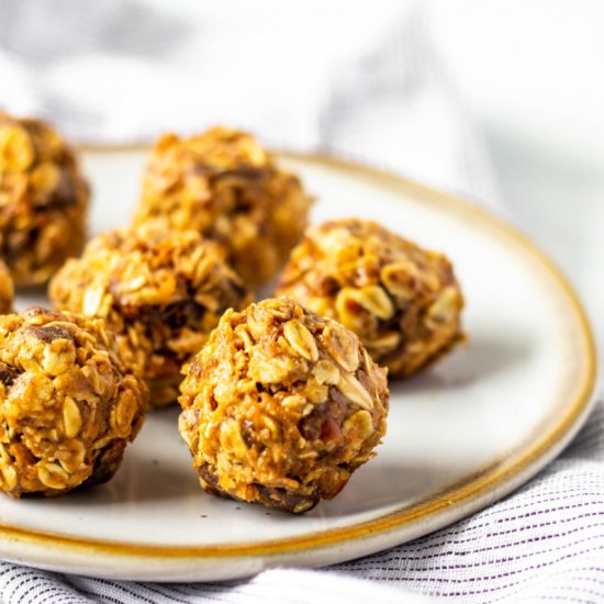 Oatmeal Coconut Chocolate Bites