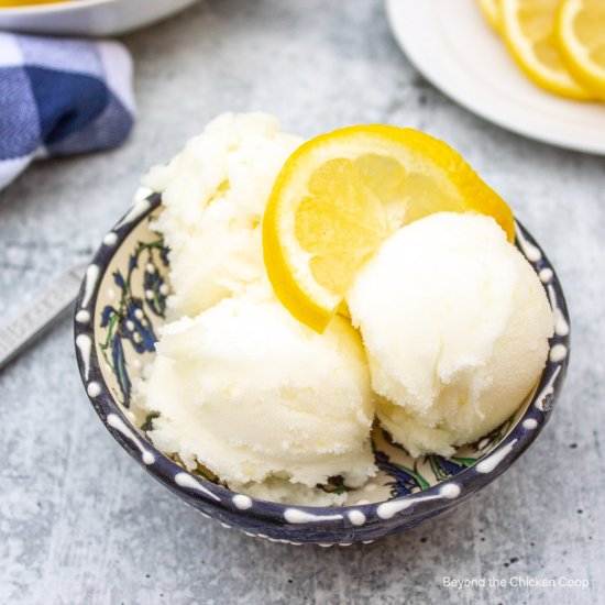 Lemon Sorbet