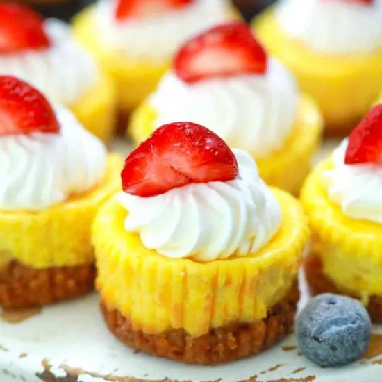 Mini Cheesecakes