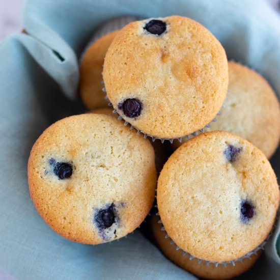 Almond Flour Blueberry Muffins